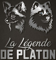logo2